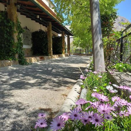 Cortijo El Cercadillo Konuk evi Bedmar y Garciez Dış mekan fotoğraf