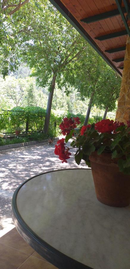 Cortijo El Cercadillo Konuk evi Bedmar y Garciez Dış mekan fotoğraf