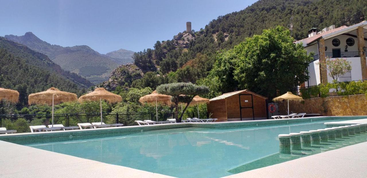 Cortijo El Cercadillo Konuk evi Bedmar y Garciez Dış mekan fotoğraf