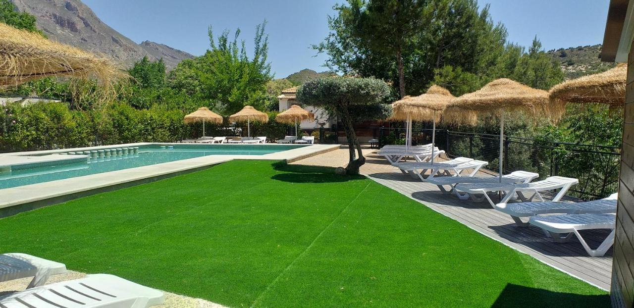 Cortijo El Cercadillo Konuk evi Bedmar y Garciez Dış mekan fotoğraf