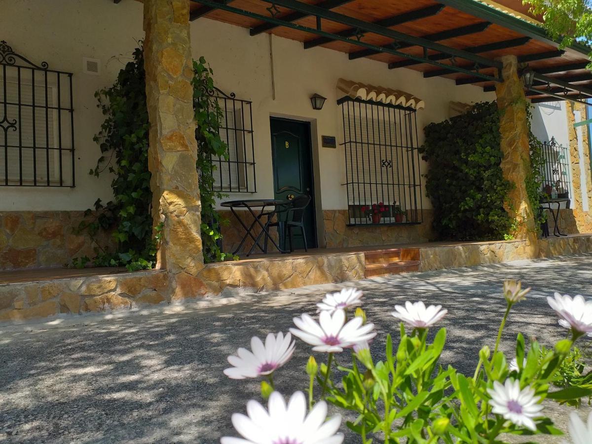 Cortijo El Cercadillo Konuk evi Bedmar y Garciez Dış mekan fotoğraf
