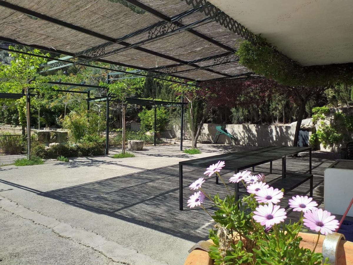 Cortijo El Cercadillo Konuk evi Bedmar y Garciez Dış mekan fotoğraf