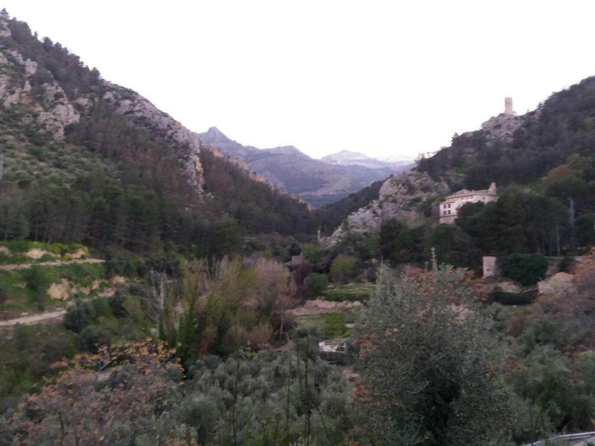 Cortijo El Cercadillo Konuk evi Bedmar y Garciez Dış mekan fotoğraf