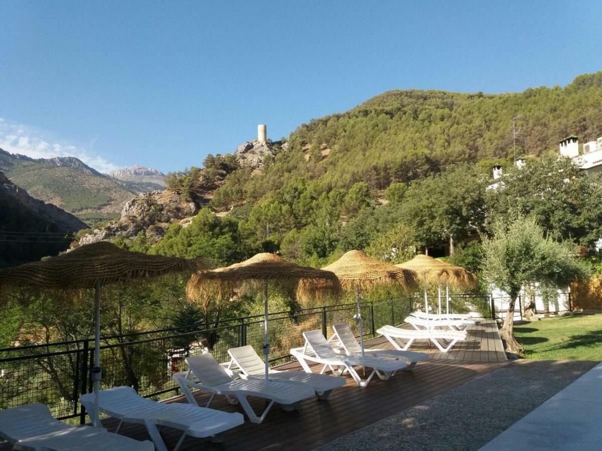 Cortijo El Cercadillo Konuk evi Bedmar y Garciez Dış mekan fotoğraf