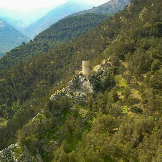 Cortijo El Cercadillo Konuk evi Bedmar y Garciez Dış mekan fotoğraf
