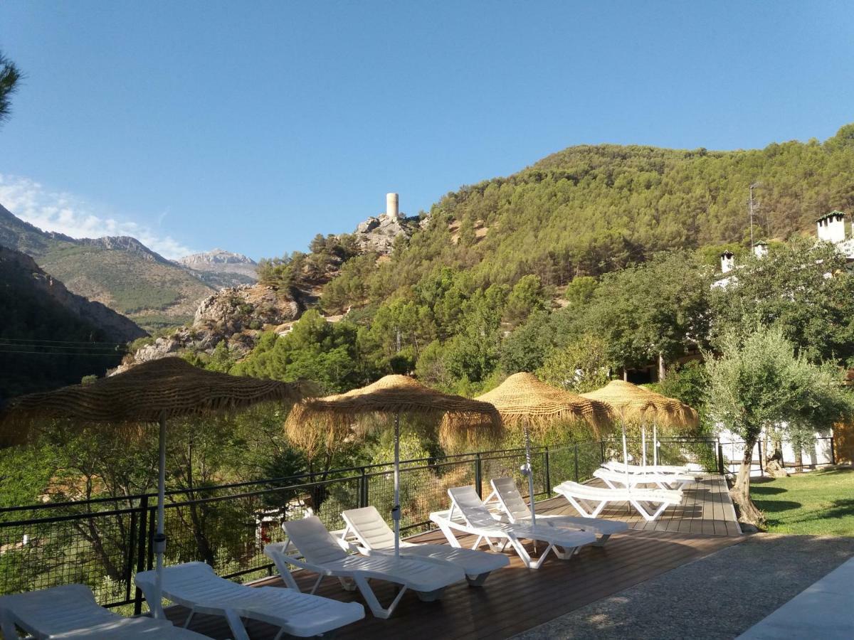 Cortijo El Cercadillo Konuk evi Bedmar y Garciez Dış mekan fotoğraf