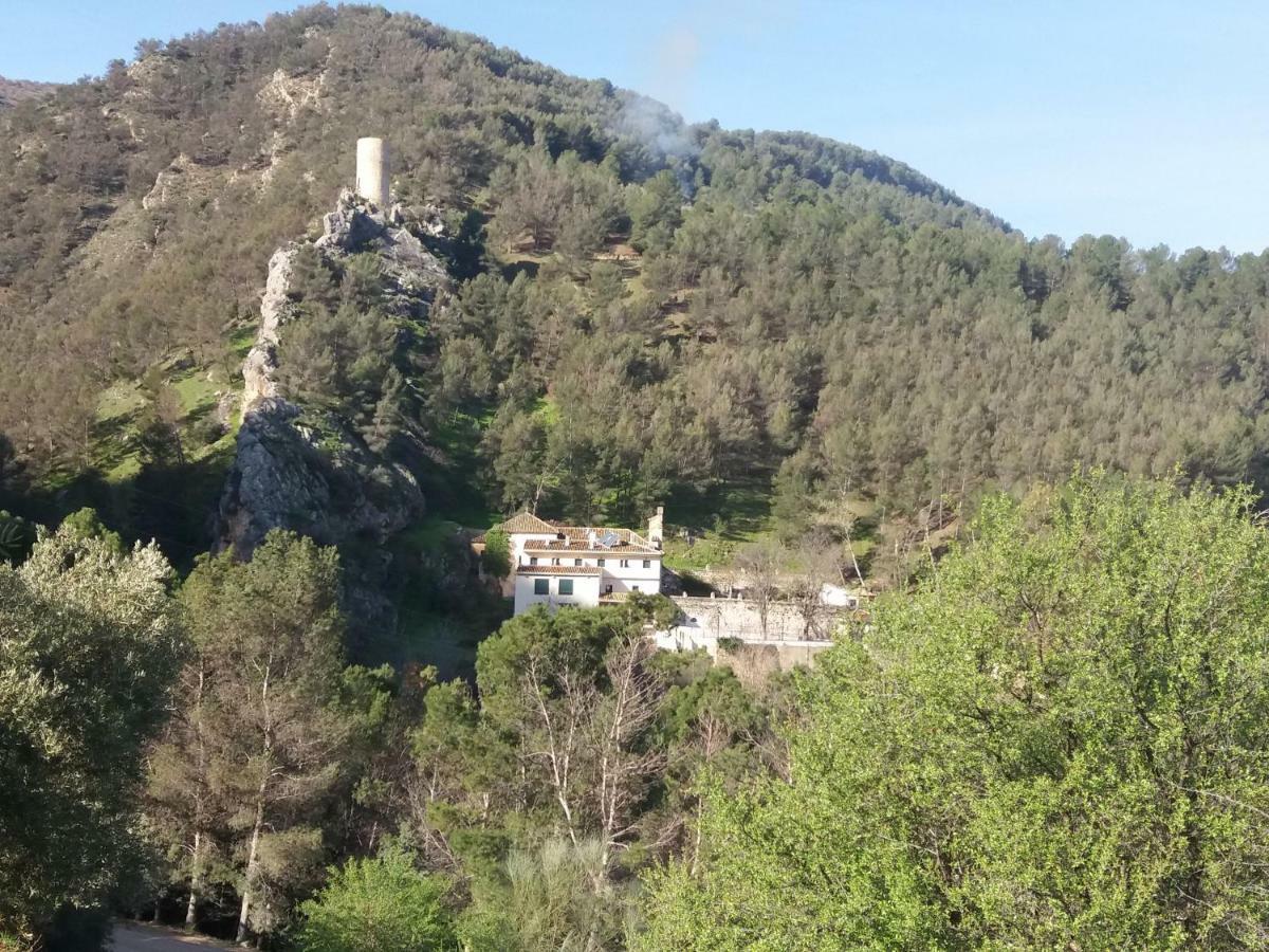 Cortijo El Cercadillo Konuk evi Bedmar y Garciez Dış mekan fotoğraf